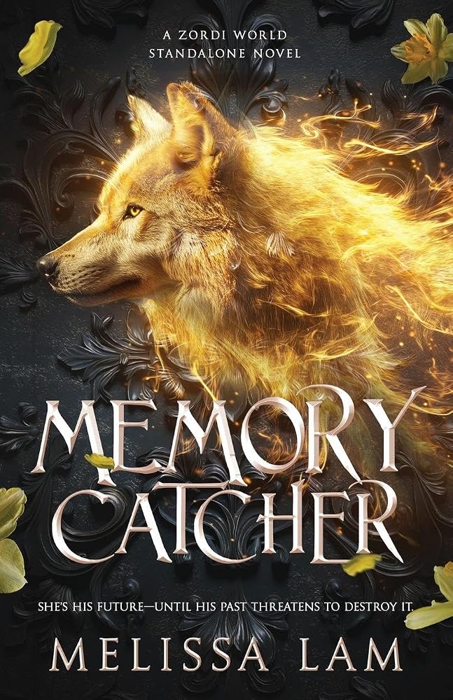 Memory Catcher cover image
